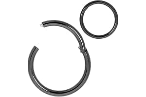 365 Sleepers Acero quirúrgico 316L Unisex Septum Tragus Helix Segmento con bisagras Nariz Labio Anillo Pendientes de aro Joyería para piercing corporal 20G 18G 16G 14G 12G 10G 8G 6G
