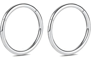 hengkaixuan 2Pcs Titanium Nose Hoop Rings Hinged Segment Clicker Rings Cartilage Helix Lip Tragus Conch Piercing Jewellery Sleeper Earrings Septum Lobe Hoop Earrings