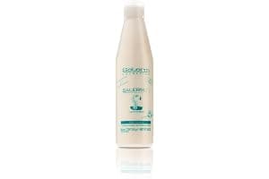 SALERM - Acondicionador de Pelo Instantáneo - Salerm 21 Silk Protein - 250 ml - sin Aclarado o con Aclarado - con Proteínas de Seda - Protector del Calor e Hidratante