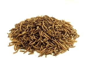 Dried Mealworms 5kg Premium Insectivorous Wild Bird Food By Maltbys' Stores 1904 Limited
