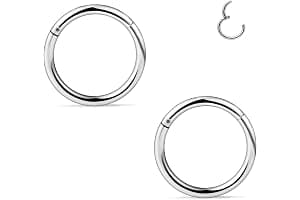 FECTAS Segmento de Acero Inoxidable Anillo de Nariz Aro Clicker Bisagra Labio Septum Tragus Helix Cartílago Perforación Joyería (18/16/14G)