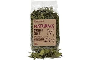 Rosewood Naturals Dandelion Delight, Small Animal Treat for Rabbits, Guinea Pigs, Chinchillas and Degus, 100g
