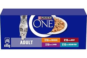 PURINA ONE Mini Fillets Mixed Selection in Gravy Adult Wet Cat Food 40x85g