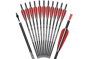TY Archery 12 tornillos de ballesta de carbono, 16, 18, 20, 22 pulgadas, para caza, tiro con arco, flechas con tornillo de mariposa de 4 pulgadas, punta de flecha de repuesto