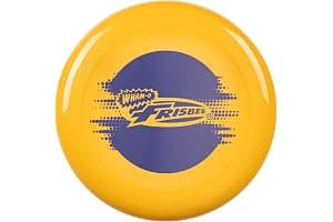 Wham-O Frisbee Cool Flyer Disco Volador, 25.27cm Juguete Ligero para Niños Adolescentes Chicos Chicas de 5+ Años para Exteriores Playa Parque Patio - 130g