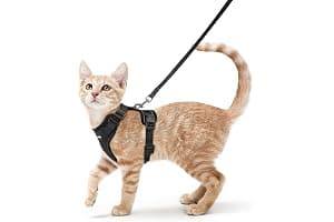 rabbitgoo Cat Harness and Lead Set, Adjustable Escape Proof Cat Lead for Walking, Reflective Kitten Harness Set, Soft and Comfortable for Small Cats, Black, XS