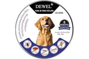 DEWEL Collar contra Pulgas y Garrapatas para Perros Grandes Medianos y Pequeños, Collar Antiparasitario para Perros 8 Meses de Protección, Control Antipulgas para Mascotas de 63,5 cm Gris 1 Unidad