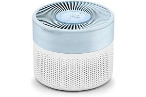 Rowenta Pure Air Mini, Purificador de aire, Filtro HEPA, Estancias de hasta 22 m², 85 m³/h, Muy silencioso, Reduce malos olores, Motor Effitech, Blanco y azul, PU1520F0