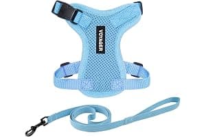 Voyager Step-in Lock Cat Harness and Reflective Cat Leash with Neoprene Handle by Best Pet Supplies - Supports Small, Medium and Large Breed Cats, Baby Blue, size XS - 5ft