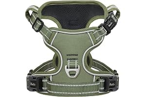 HEELE Dog Harness, No Pull Dog Harness Medium, Release on Neck, Front Back Clips Dog Vest Harness Reflective Adjustable Padded, Easy Control Handle for Outdoor Walking Training, Green, M