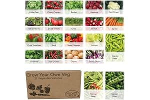 Pronto Seed Grow Your Own Vegetable & Herb Kit – 21 Varieties, 1700+ Seeds for Planting UK – Salad, Spicy, Peas & Beans Mix – Gardening Gifts for Men & Women with Growing Guide