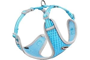 ThinkPet Reflective Breathable Soft Air Mesh No Pull Puppy Choke Free Over Head Vest Ventilation Harness Leash Set for Puppy Small Medium Dogs Light Blue L