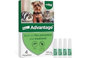 Advantage Spot On Flea Treatment For Cats, Dogs and Rabbits Under 4kg (4 pipettes, 40mg), Kills Fleas Within 24 Hours, Prevents Further Infestation For Up To Four Weeks in Cats and Dogs