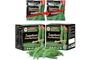 Longevity Uvas de mar - Umibudo verde Caviar -Dehydrated, pérdida de peso, impulsar el sistema inmunológico, valorado Regalo De Mar, 8.5 onzas de 12 paquetes (original, 240g)