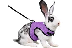 Niteangel Adjustable Soft Harness with Elastic Leash for Rabbits (XL, Purple)