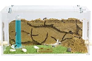Anthouse.es - Hormiguero Natural de Arena - Kit Inicio Acrílico 20x10x10 cm - Granja de Hormigas con Colonia de Hormigas, Arena, Piptea y Bebedero Incluido - Fácil Instalación