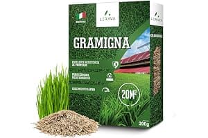 LERAVA Semillas césped grama gruesa (200 g) - Para 20 m² - Césped pisable y resistente a la sequía - Ideal para zonas mediterráneas y cálidas - Consume hasta un 20% menos de agua