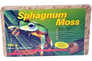 Lucky Reptile Sphagnum Moss - 100 g Ladrillos de Musgo para terrarios - Musgo de terrario para Aumentar Humedad del Aire - Musgo de Cultivo controlado orquídeas y bromelias - Accesorio para Reptiles