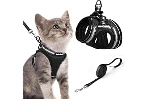 rabbitgoo Cat Harness and Leash Set for Walking Escape Proof, Adjustable Soft Kittens Vest with Reflective Strip for Cats, Comfortable Outdoor Vest, Black, Small