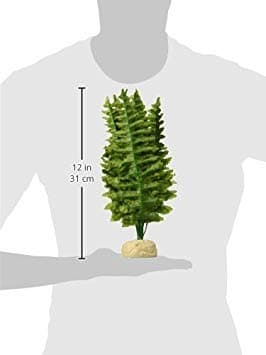Exo Terra Rainforest Plant - Boston Fern - Medium