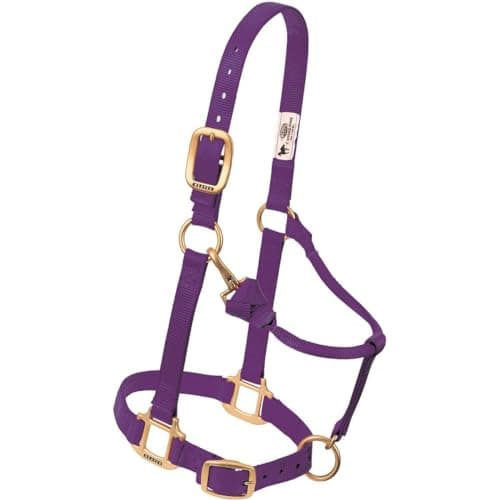 Weaver Leather Original Adjustable Nylon Horse Halter, Yearling, Hurricane Blue — view 6