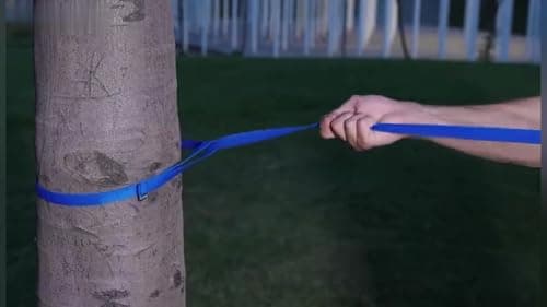 AMAGOOD Long Dog Leash for Training 15FT 20FT 30FT 50FT 100FT Long Dog Lead for Medium and Small Dogs Training,Tie Out,Play,Camping(15feet, Blue) — view 6