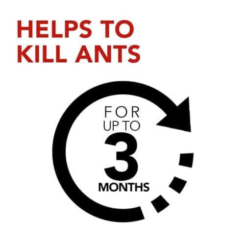 Raid Ant Killer Baits and Traps, Kills Ants Where They Breed, For Indoor Use, Child Resistant, 4 Bait Stations — view 5