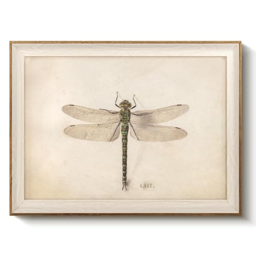 VIYYIEA Framed Wall Art for Living Room, Green Dragonfly Canvas Prints, Vintage Home Decor, Print Framed Painting Picture, Study Wall Decor Gifts for Friends or Family - 16L x 12W