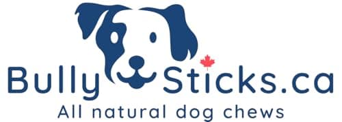 ODOURFREE 12" Standard Bully Sticks for Dogs (10 Pack) Dental Chew - Rawhide Free - Supports Dental Hygiene - Single Beef Ingredient - Consistent Size - Canadian Company — view 5