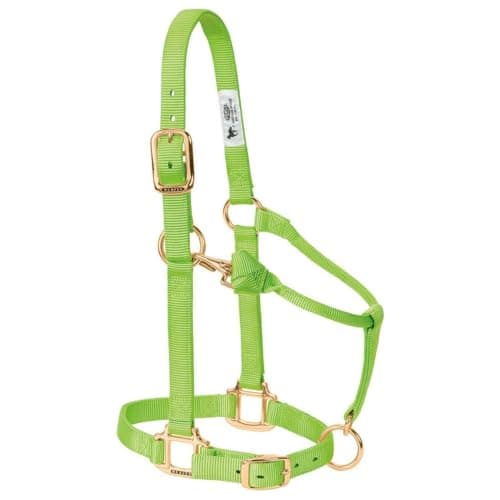 Weaver Leather Original Adjustable Nylon Horse Halter, Yearling, Hurricane Blue — view 8