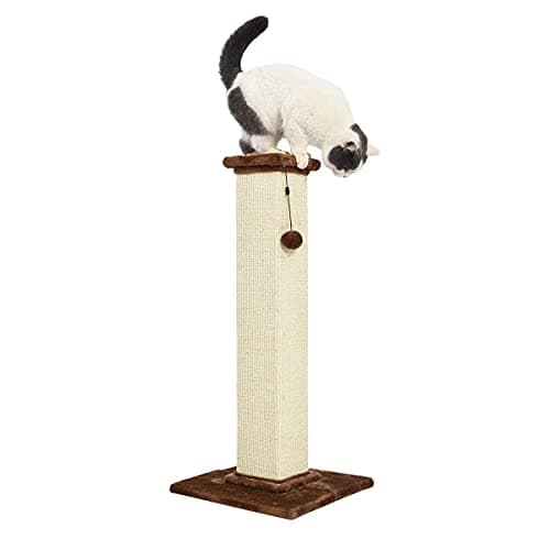 Amazon Basics Cat Scratcher - Indoor Classic Single Cat & Kittens Scratching Post with Sisal Rope, Large (35.4"H) - Brown — view 3