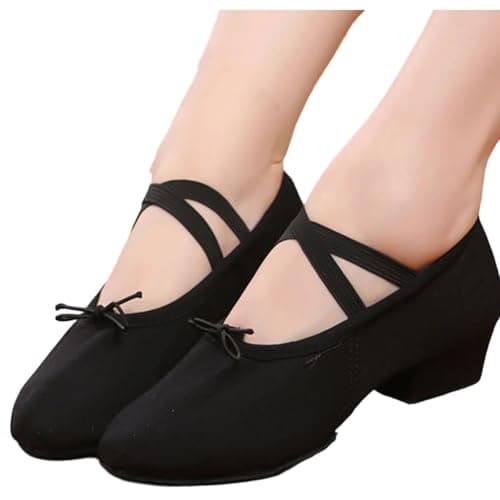 Women Latin Dance Shoes Canvas Ballroom Character Teacher Shoe Chunky Low Heel Comfy Dancing Loafers（Black，9) — view 5