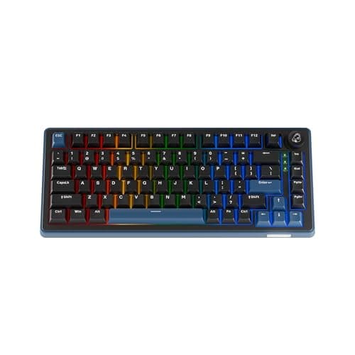 Ducky OK-M - 65% Wireless Mechanical Gaming Keyboard : Gasket-Mount Design, Hot-Swappable Switches, Five-Layer Acoustic Dampening, RGB, USB-C, 2.4Ghz, Bluetooth, Wine Red Switch