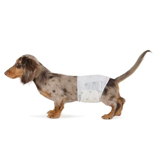 Amazon Basics Dog and Puppy Pee Pads with 5-Layer Leak-Proof Design and Super Absorbent Surface for Potty Training, Odor-Control Carbon, XL Size, 28 x 34 Inch - Pack of 50, Gray