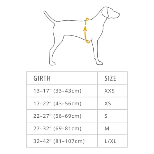 Ruffwear, Front Range Dog Harness, Reflective Soft Padded Everyday Harness with Dual Leash Clips, Adjustable and Lightweight Fit for Training or Walking for All Dogs, Coastal Mountains, Medium