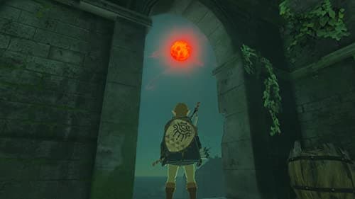 The Legend of Zelda™: Tears of the Kingdom (CAN Version) — view 5