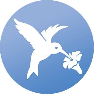 WindowAlert Hummingbird Anti-Collision Decal - UV-Reflective Window Decal to Protect Wild Birds from Glass Collisions 2-Pack - Made in The USA — view 4