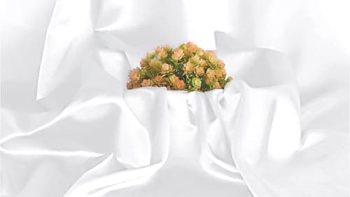 MDS Satin Fabric 10 Yards, 44" Wide, Silky Smooth Charmeuse Sateen Cloth for Wedding Arch Drapery Panel Backdrop Party Event Banquet Home Decoration Curtain Crafts DIY Sewing Costume - White — view 3