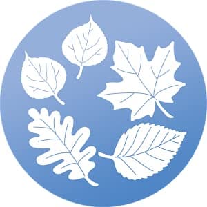 WindowAlert Leaf Medley Anti-Collision Decal - UV-Reflective Window Decal to Protect Wild Birds from Glass Collisions 2-Pack - Made in The USA — view 5