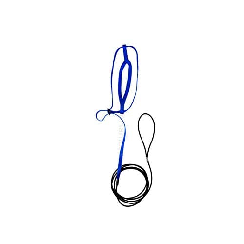 The AVIATOR Pet Bird Harness and Leash: Large Blue — view 2