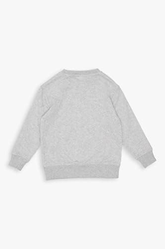 Gertex MLB Kids/Youth Light Grey Crew Neck Toronto Blue Jays (Secondary Logo Medium) — view 3