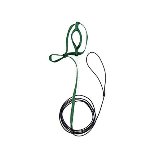 The AVIATOR Pet Bird Harness and Leash: Petite Green — view 2