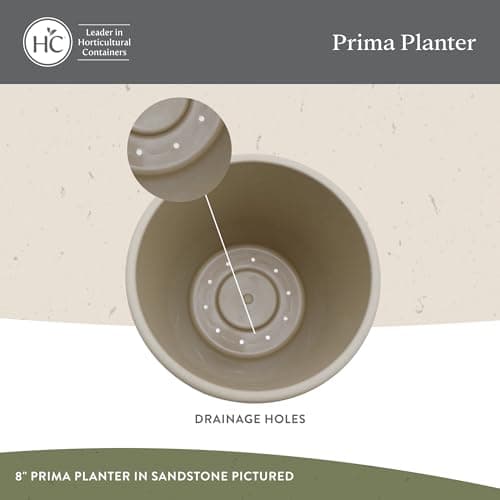 The HC Companies 14 Inch Round Prima Planter - Plastic Plant Pot with Rolled Rim for Indoor Outdoor Plants Flowers Herbs, Honey (Pack of 2) — view 2