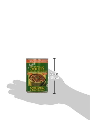 Amy’s Kitchen Organic Lentil Vegetable Soup, Light in Sodium – Vegan, Gluten-Free, Dairy-Free, Lactose-Free, Soy-Free, Corn-Free, Tree Nut-Free, Kosher, Plant-Based, 398ml Can — view 4