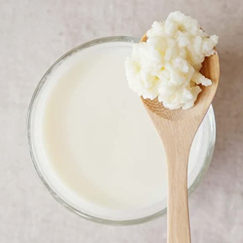 Cultures For Health Milk Kefir Grains — view 3