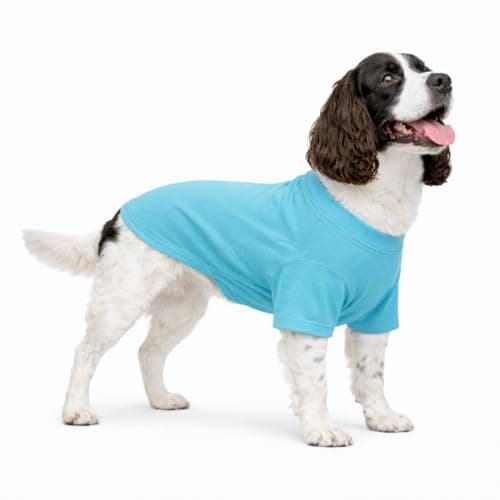 Lovelonglong Pet Clothing Dog Costumes Basic Blank T-Shirt Tee Shirts for Medium Dogs Turquoise XXL