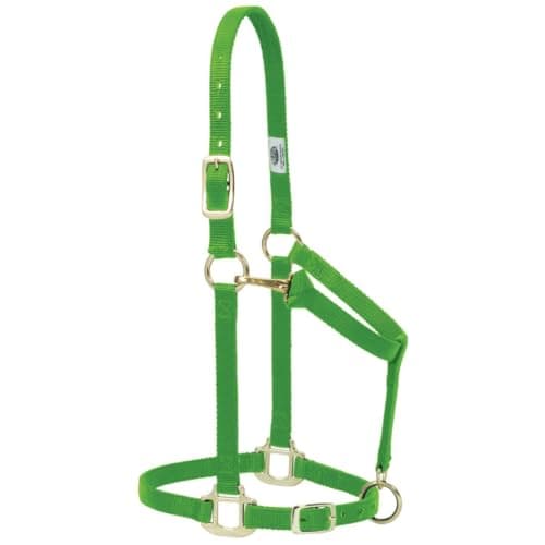 Weaver Leather Original Adjustable Nylon Horse Halter, Purple, Arabian/Cob — view 3