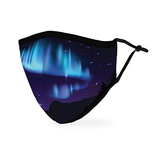 Weddingstar 3-Ply Adult Washable Cloth Face Mask Reusable and Adjustable with Filter Pocket - Northern Lights