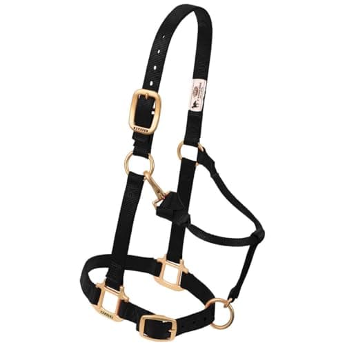 Weaver Leather Original Adjustable Nylon Horse Halter, Purple, Arabian/Cob