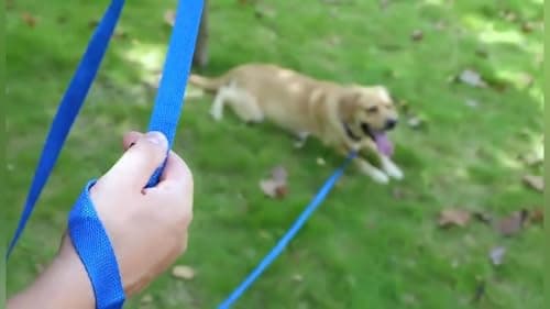 AMAGOOD Long Dog Leash for Training 15FT 20FT 30FT 50FT 100FT Long Dog Lead for Medium and Small Dogs Training,Tie Out,Play,Camping(15feet, Blue) — view 5